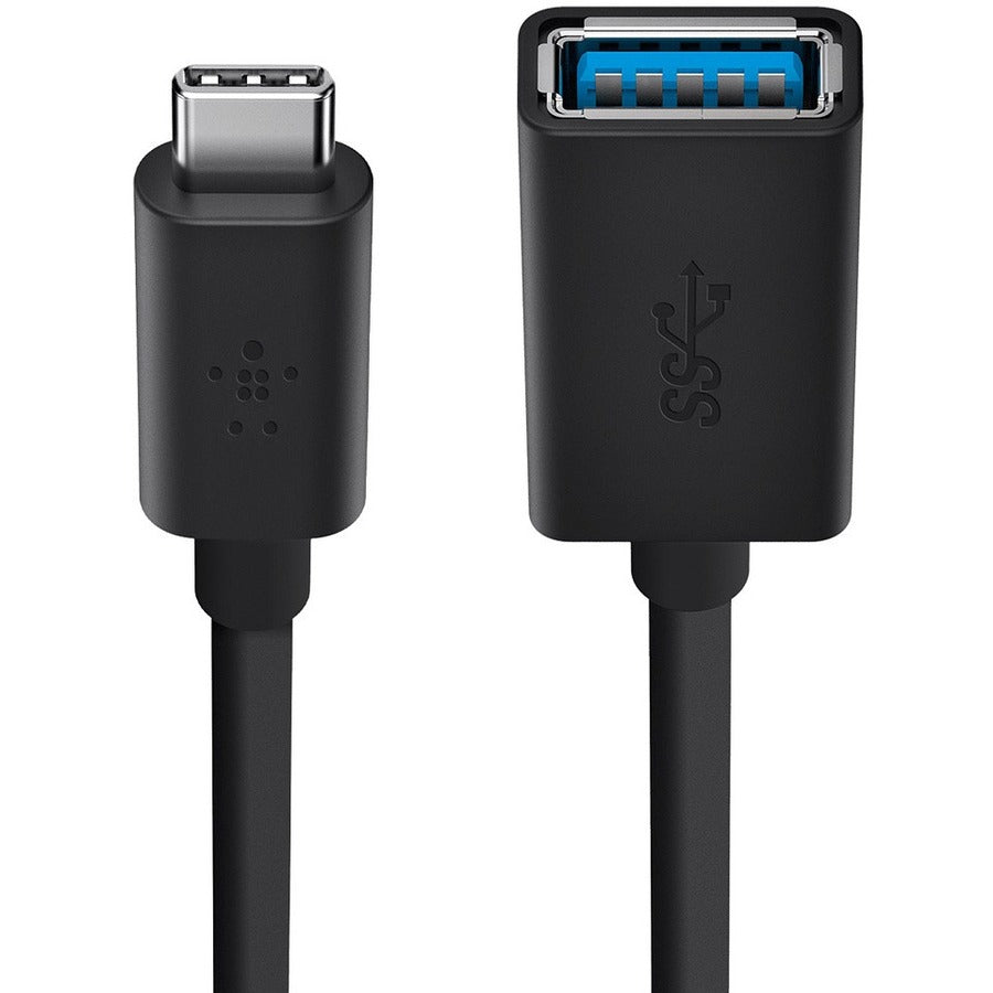 Alternate-Image3 Image for Belkin 3.0 USB-C to USB-A Adapter