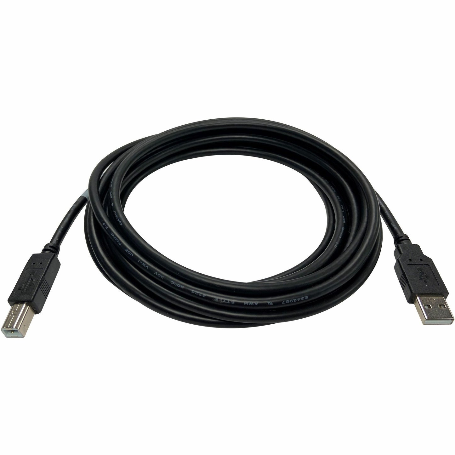 Main Image for Black Box USB 2.0 Cable - Type-A to Type-B, Male/Male, Black