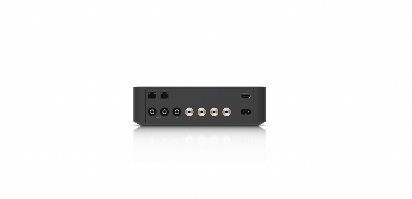 Rear view of UniFi PowerAmp showing HDMI, RCA, speaker terminals, and dual Ethernet ports