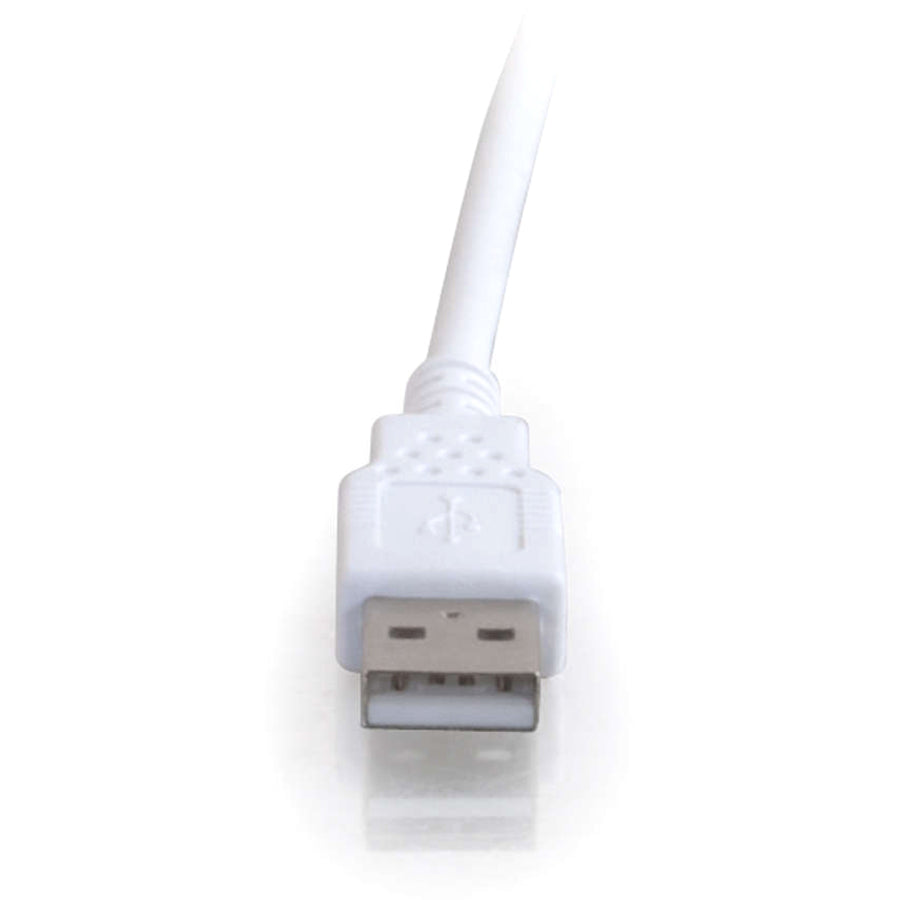 Front Image for C2G 3m (10ft) USB Extension Cable - USB 2.0 A to USB A - M/F