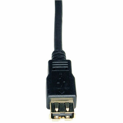 Alternate-Image1 Image for Eaton Tripp Lite Series USB 2.0 Extension Cable (A M/F), 10 ft. (3.05 m)