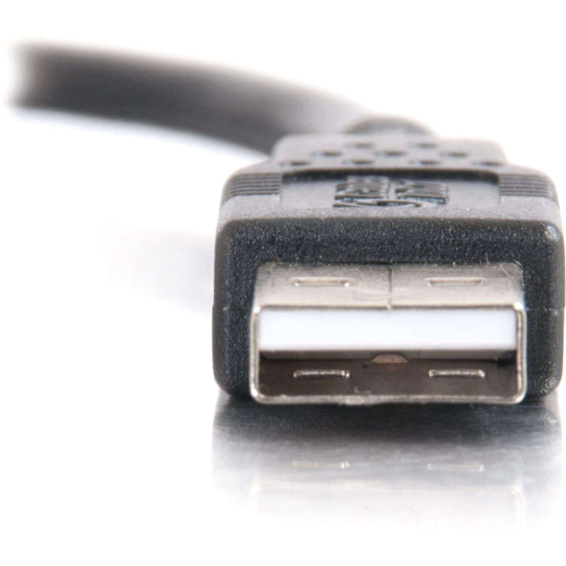 Front Image for C2G 1m USB Cable - USB A to USB A - M/M
