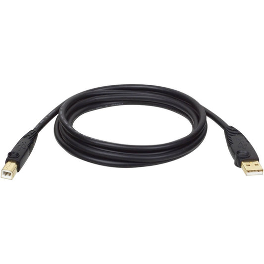 Main Image for Eaton Tripp Lite Series USB 2.0 A to B Cable (M/M) - 10 ft. (3.05 m)