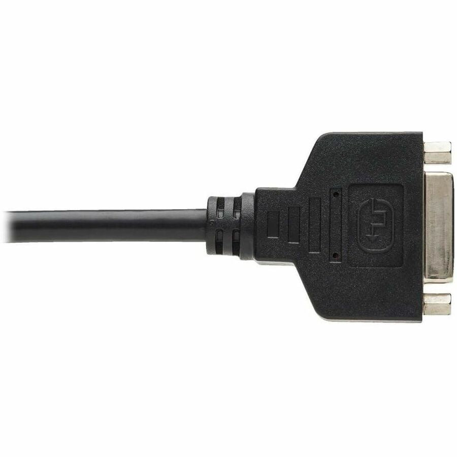 Alternate-Image6 Image for Eaton Tripp Lite Series DisplayPort to DVI-I Adapter Cable (M/F), 6 in. (15.2 cm), TAA