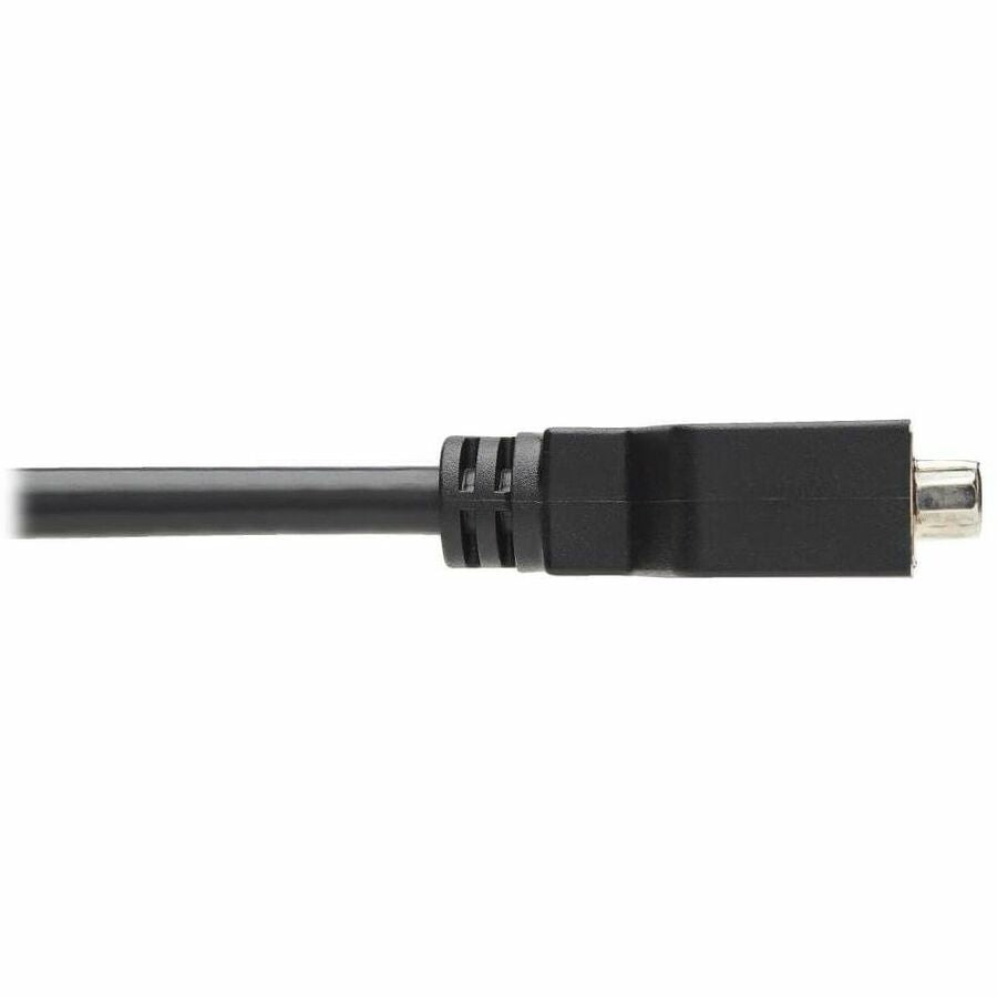 Alternate-Image5 Image for Eaton Tripp Lite Series DisplayPort to DVI-I Adapter Cable (M/F), 6 in. (15.2 cm), TAA