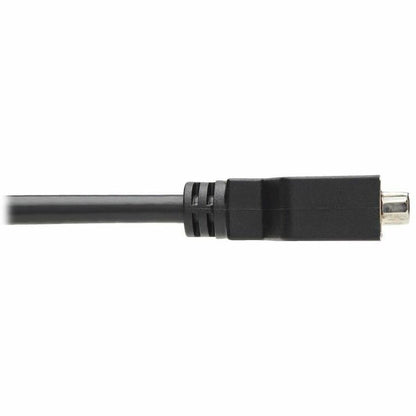 Alternate-Image5 Image for Eaton Tripp Lite Series DisplayPort to DVI-I Adapter Cable (M/F), 6 in. (15.2 cm), TAA