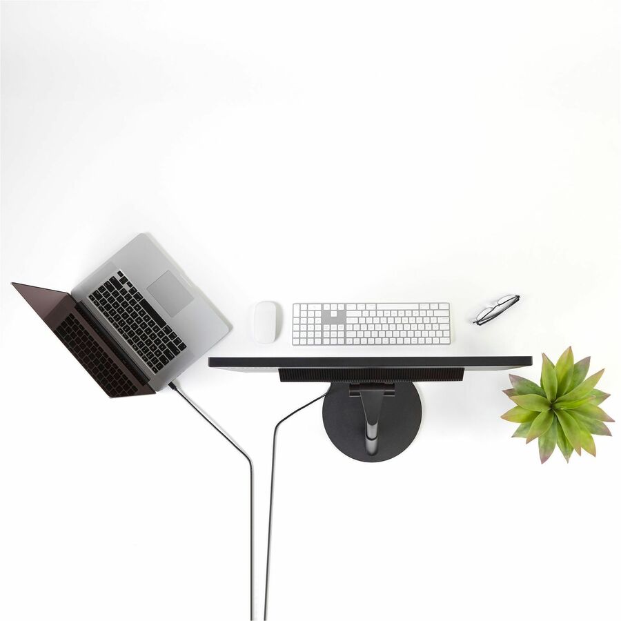 Alternate-Image6 Image for StarTech.com 6 ft Mini DisplayPort to DisplayPort 1.2 Adapter Cable M/M - DisplayPort 4k