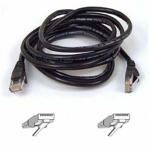 Main Image for Belkin Cat6 Patch Cable