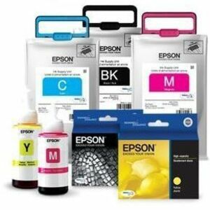 Main Image for Epson UltraChrome HDR T653700 Original Inkjet Ink Cartridge - Light Black Pack