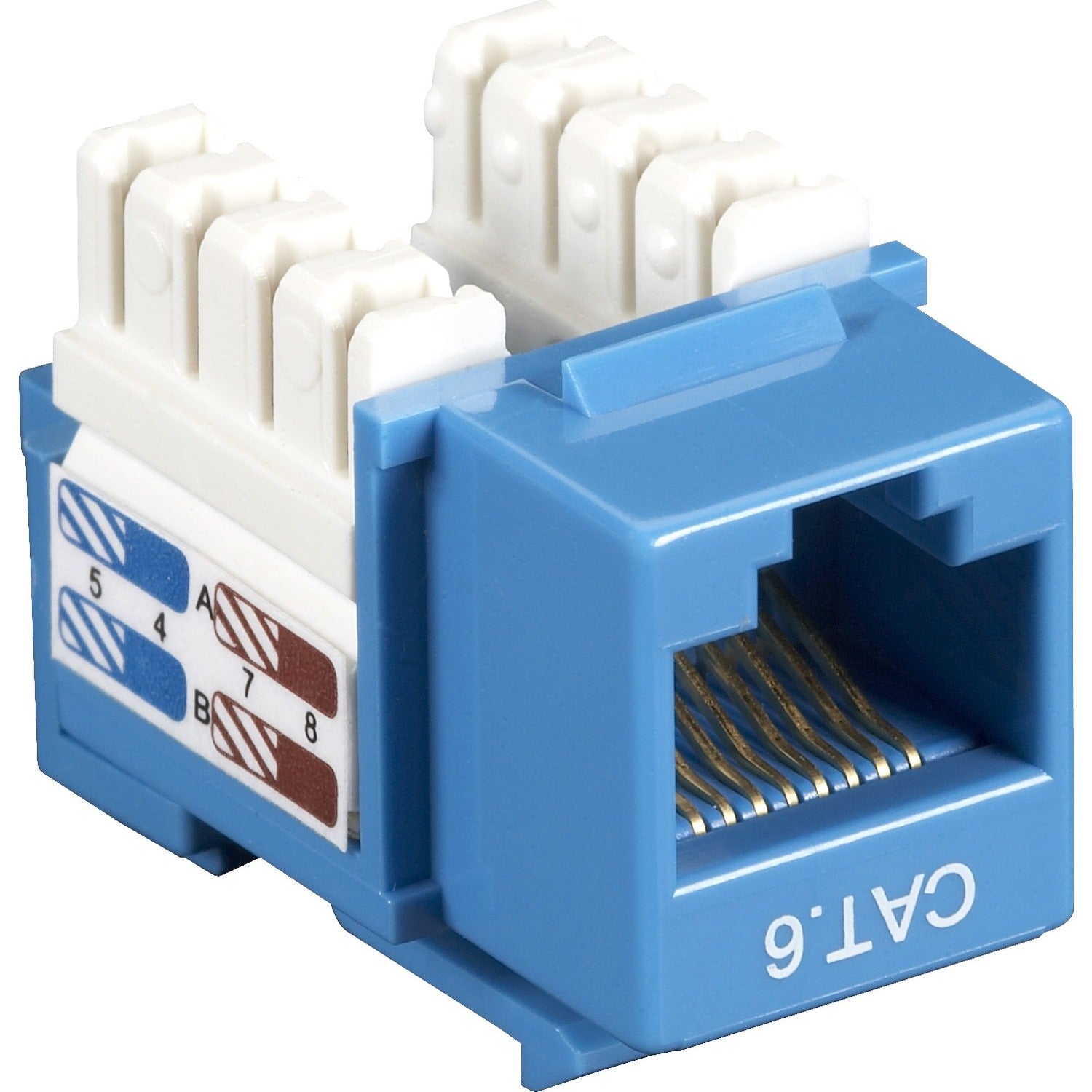 Main Image for Black Box CAT6 Value Line Keystone Jack, Blue