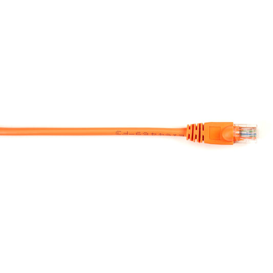 Main Image for Black Box Connect Cat.6 UTP Patch Network Cable