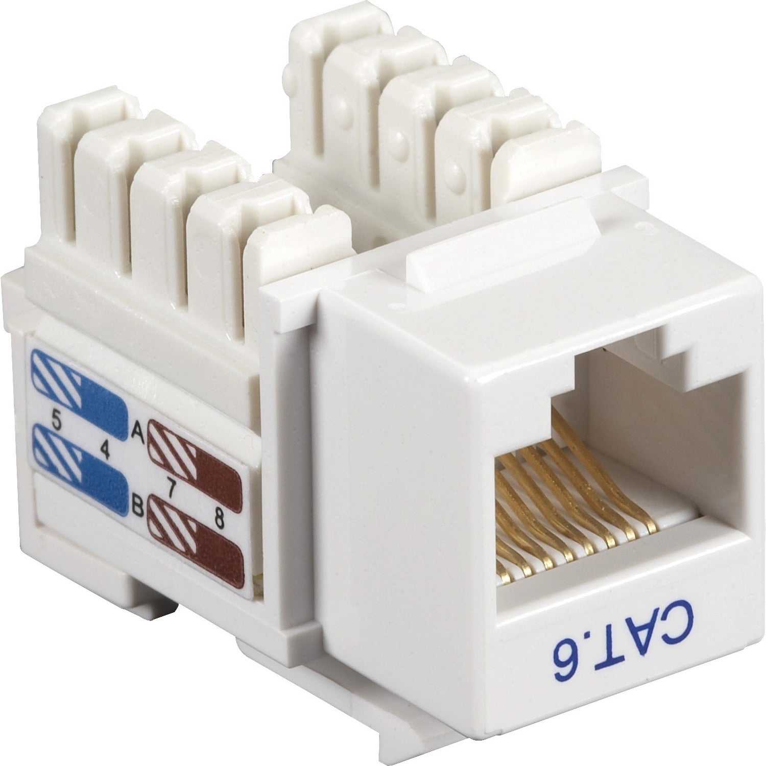 Main Image for Black Box CAT6 Keystone Jack - Unshielded, RJ45, White