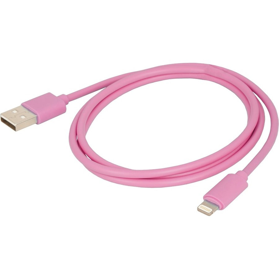 Main Image for Urban Factory USB Standard Male to Apple Lightning Cable