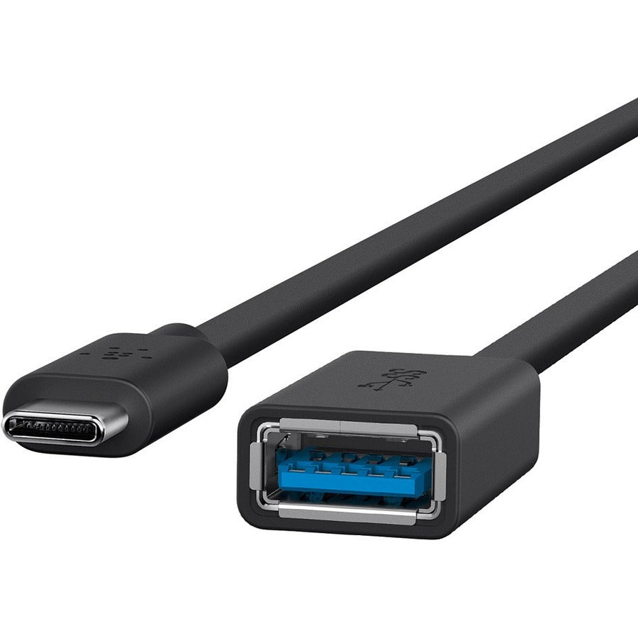 Alternate-Image2 Image for Belkin 3.0 USB-C to USB-A Adapter