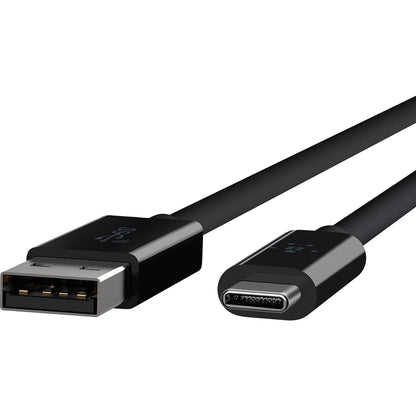 Alternate-Image1 Image for Belkin 3.1 USB-A to USB-C Cable (USB-C Cable)