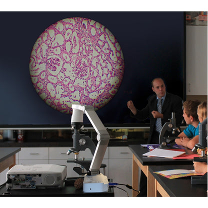Life-Style Image for Epson DC-21 Document Camera