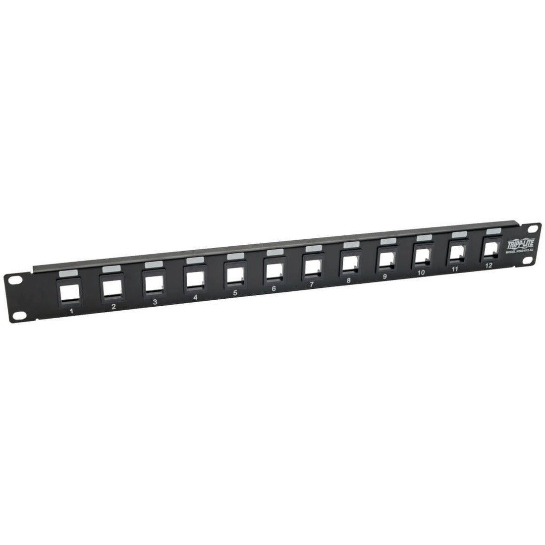 Main Image for Eaton Tripp Lite Series 12-Port 1U Rack-Mount Unshielded Blank Keystone/Multimedia Patch Panel, RJ45 Ethernet, USB, HDMI, Cat5e/6
