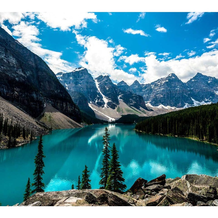 Alternate-Image8 Image for ViewSonic VX2276-SMHD 22 Inch 1080p Widescreen IPS Monitor with Ultra-Thin Bezels, HDMI and DisplayPort