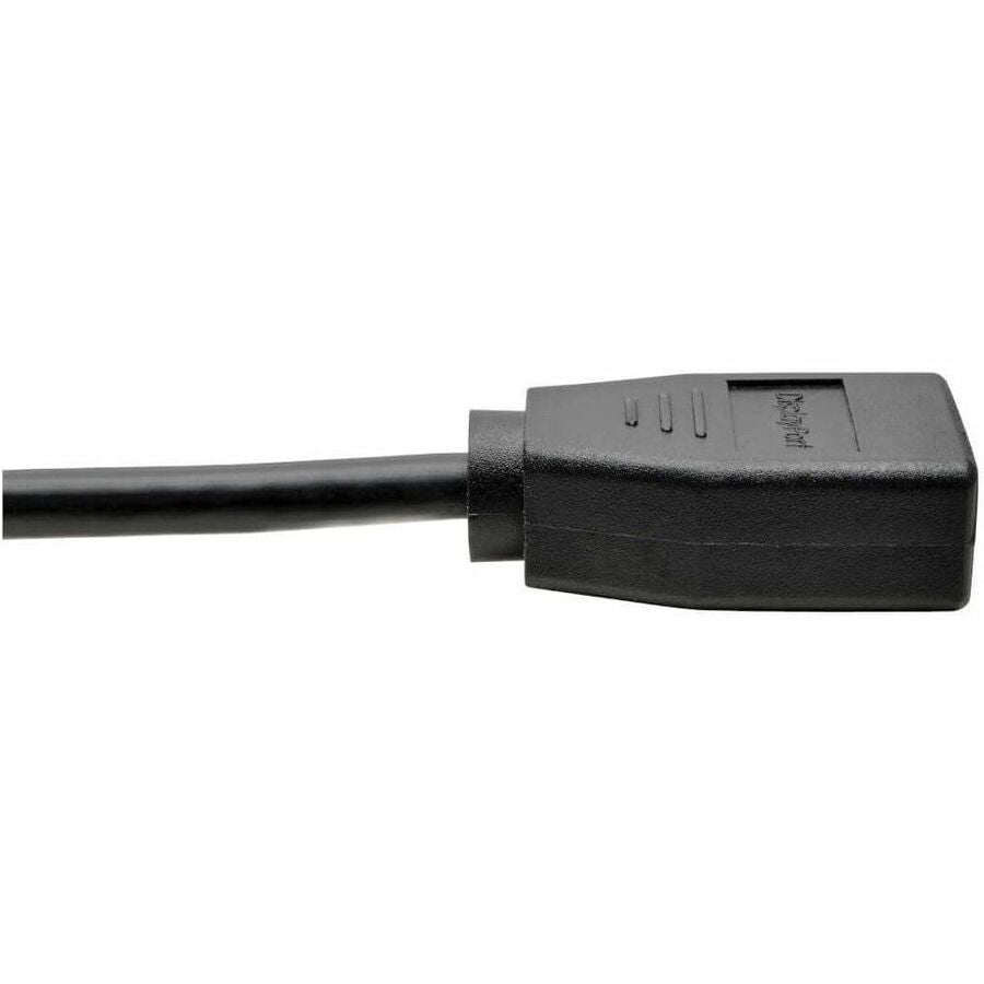 Alternate-Image4 Image for Eaton Tripp Lite Series 4K HDMI to DisplayPort Active Converter (M/F) with USB Power, 6 in. (15.2 cm)