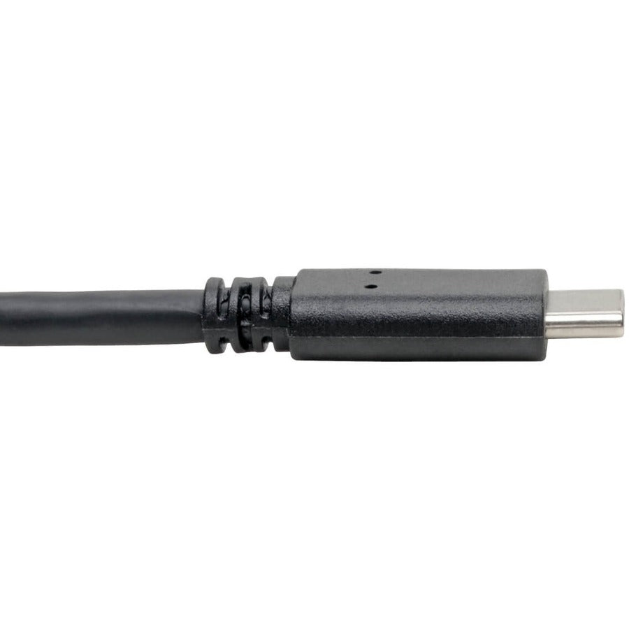 Alternate-Image3 Image for Eaton Tripp Lite Series USB-C to USB-A Cable (M/M), USB 3.2 Gen 1 (5 Gbps), Thunderbolt 3 Compatible, 6 ft. (1.83 m)