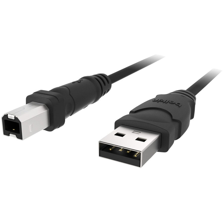 Alternate-Image4 Image for Belkin Hi-Speed USB 2.0 Cable