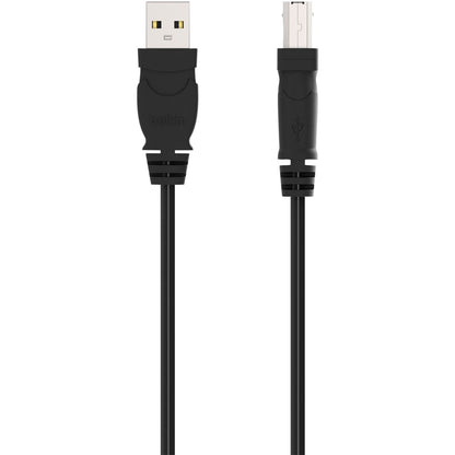 Main Image for Belkin Hi-Speed USB 2.0 Cable