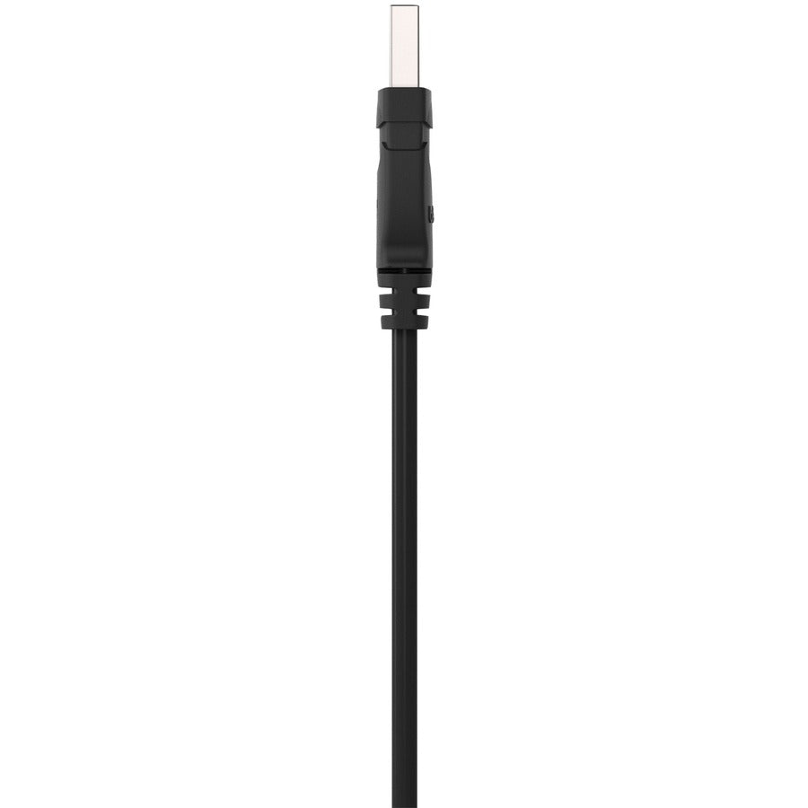 Alternate-Image1 Image for Belkin Hi-Speed USB 2.0 Cable