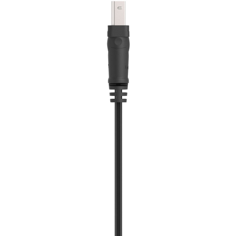 Alternate-Image2 Image for Belkin Hi-Speed USB 2.0 Cable