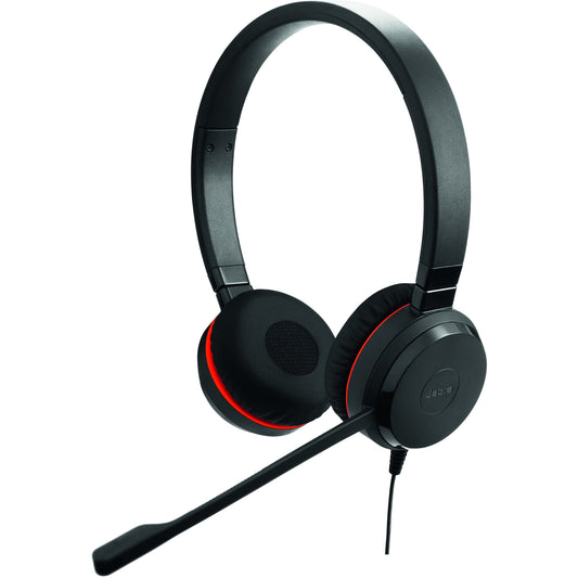Main Image for Jabra EVOLVE 20SE Headset