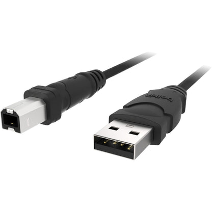 Main Image for Belkin USB Cable
