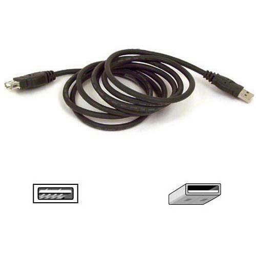 Main Image for Belkin USB Extension Cable