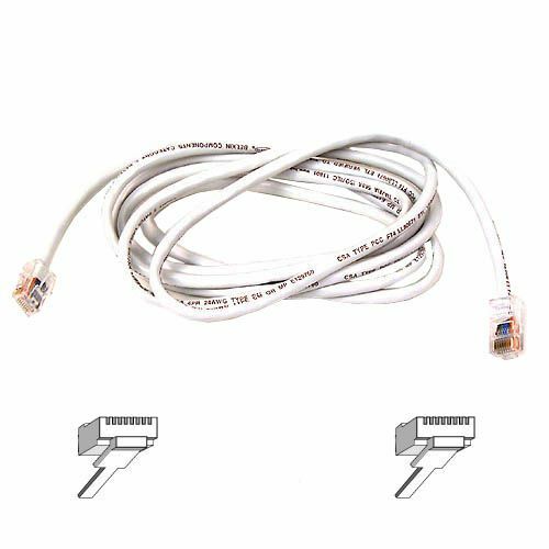 Main Image for Belkin Cat6 Cable
