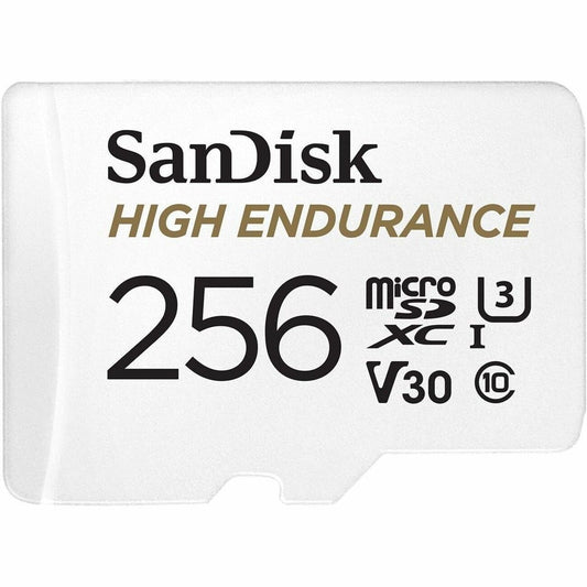 Main Image for SanDisk High Endurance 256 GB Class 10/UHS-I (U3) microSDXC - 1