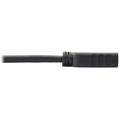 Alternate-Image5 Image for Eaton Tripp Lite Series DisplayPort to HDMI Video Adapter Video Converter (M/F), HDCP, Black, 1 ft.