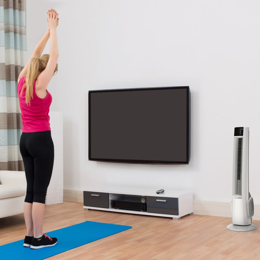 Life-Style Image for Lasko Floor Fan