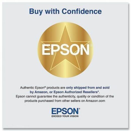 Alternate-Image2 Image for Epson UltraChrome PRO T46Y Original Inkjet Ink Cartridge - Light Gray Pack