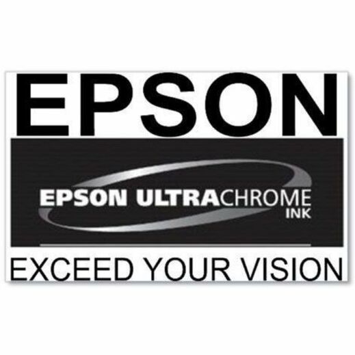 Alternate-Image1 Image for Epson UltraChrome PRO 770 Original Inkjet Ink Cartridge - Photo Black Pack