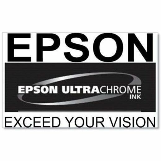 Alternate-Image1 Image for Epson UltraChrome Pro10 770 Original Inkjet Ink Cartridge - Vivid Magenta Pack