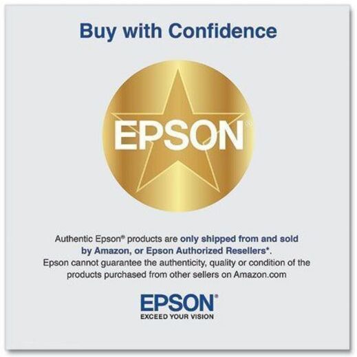 Alternate-Image2 Image for Epson UltraChrome Pro10 770 Original Inkjet Ink Cartridge - Gray Pack