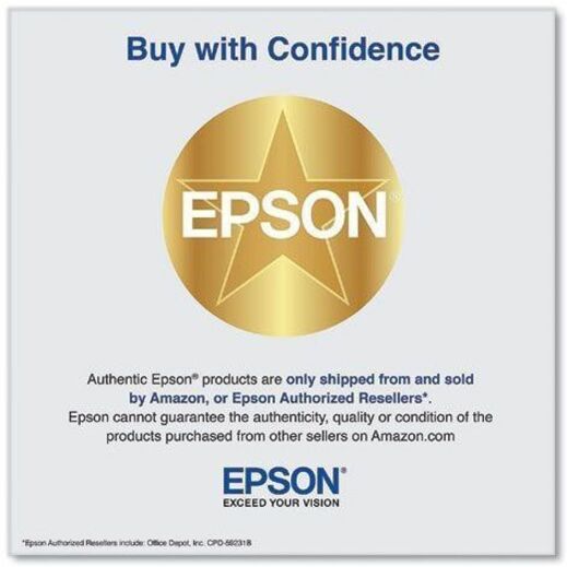 Alternate-Image3 Image for Epson UltraChrome Pro10 770 Original Inkjet Ink Cartridge - Light Gray Pack