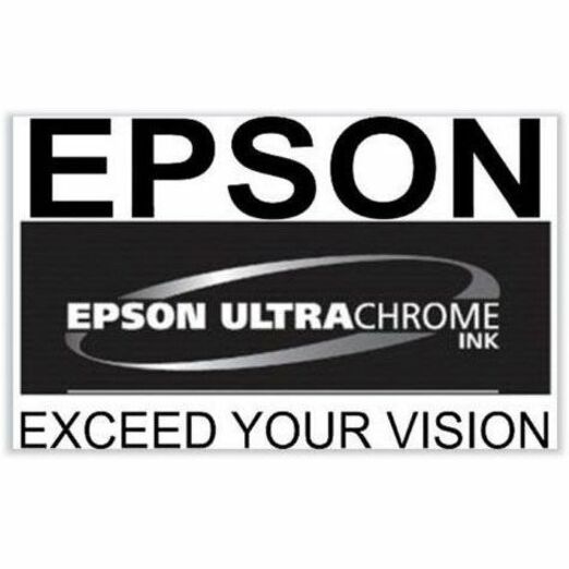 Alternate-Image1 Image for Epson UltraChrome Pro10 770 Original Inkjet Ink Cartridge - Light Gray Pack