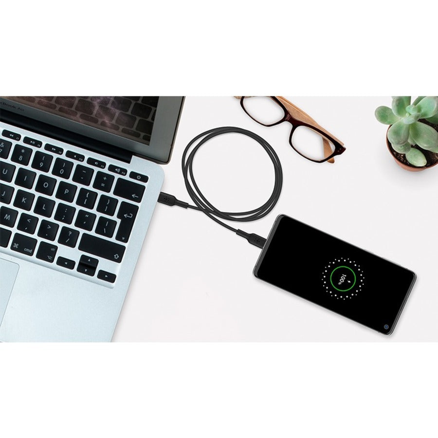 Alternate-Image6 Image for Belkin BoostCharge USB-C to USB-C Cable (1 meter / 3.3 foot, Black)