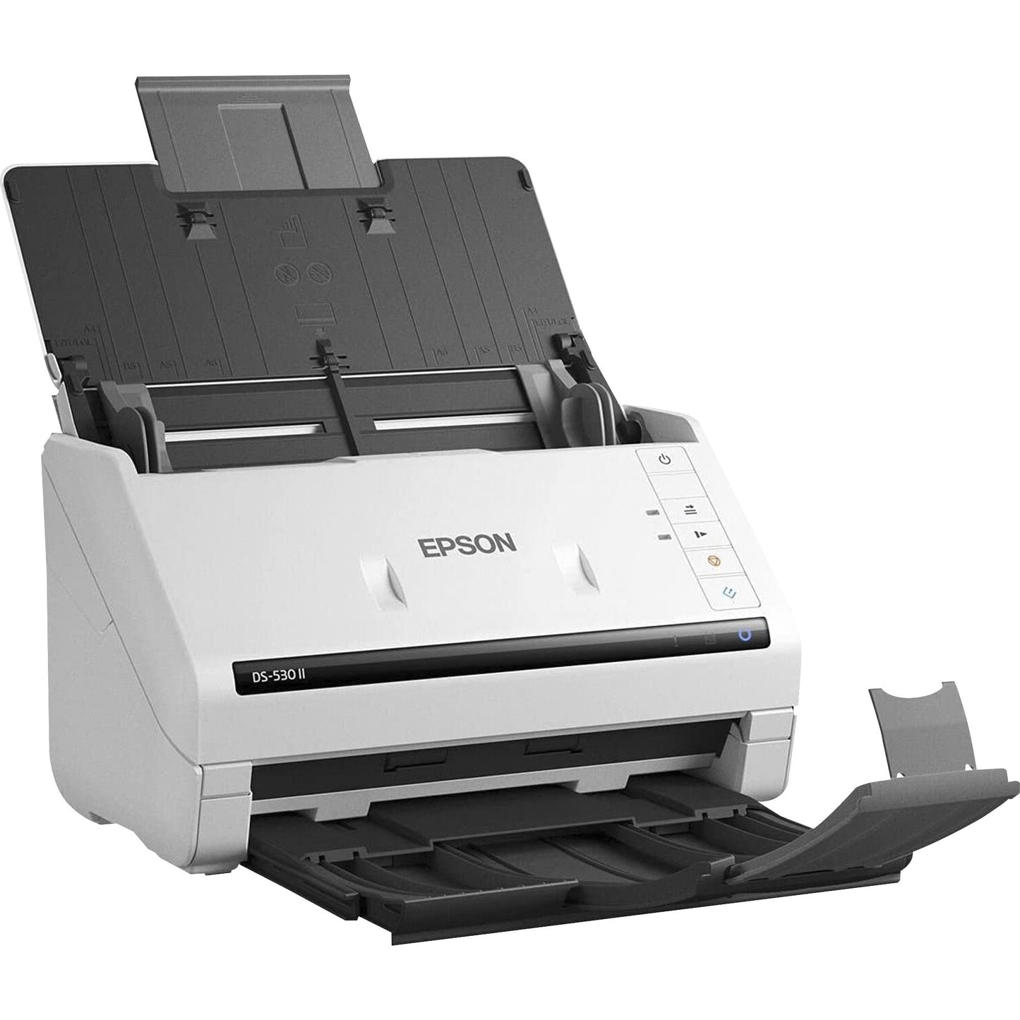 Main Image for Epson DS-530 II Large Format ADF Scanner - 600 dpi Optical