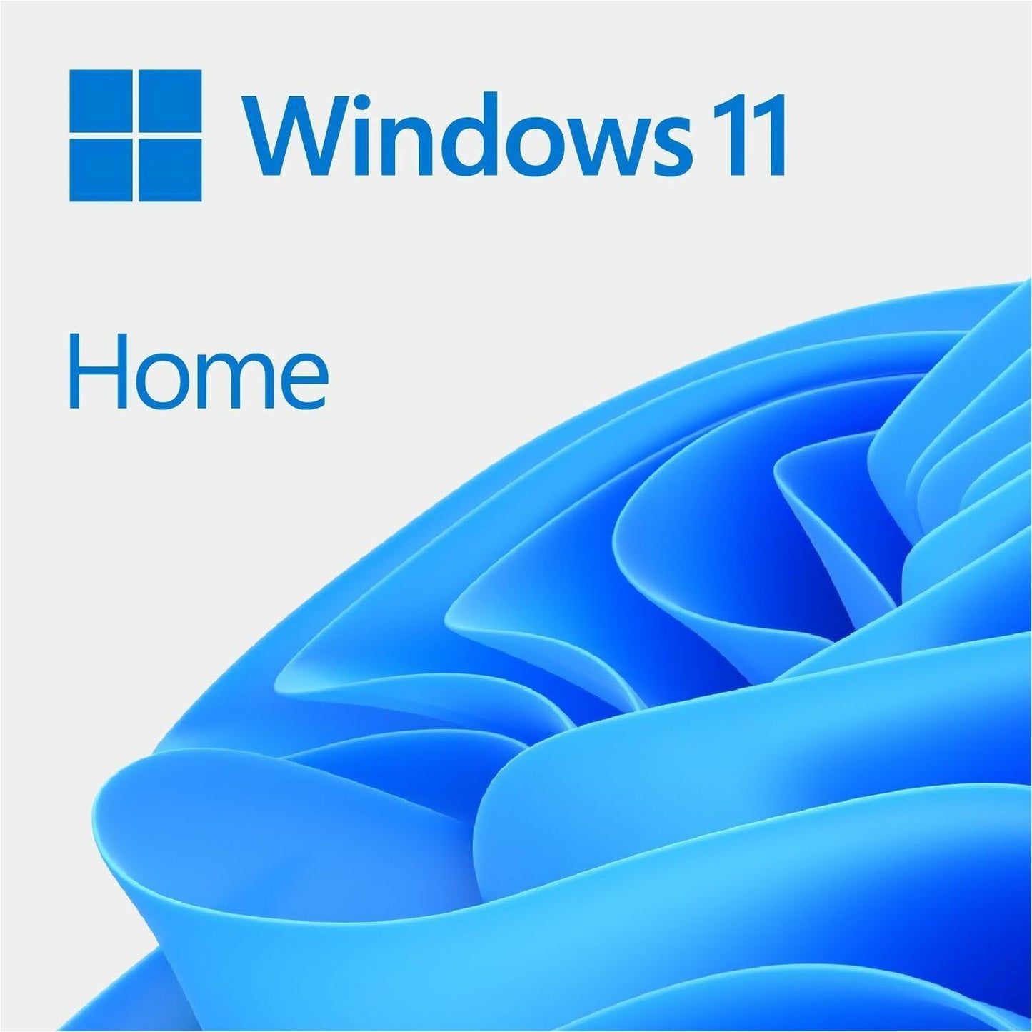 Main Image for Microsoft Windows 11 Home 32/64-bit - Box Pack - 1 License