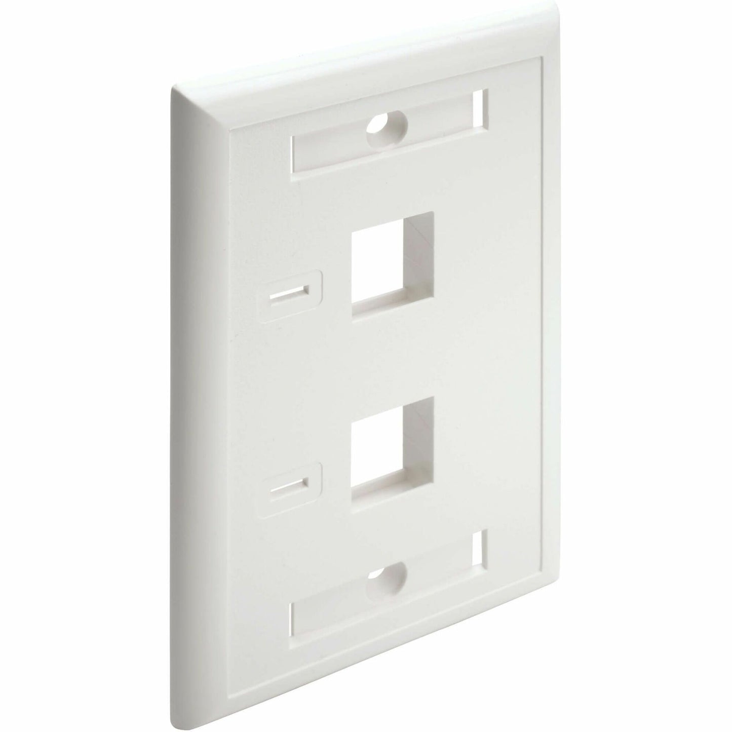 Main Image for Eaton Tripp Lite Series 2-Port Keystone Faceplate, Single Gang, ID Labels, White, TAA
