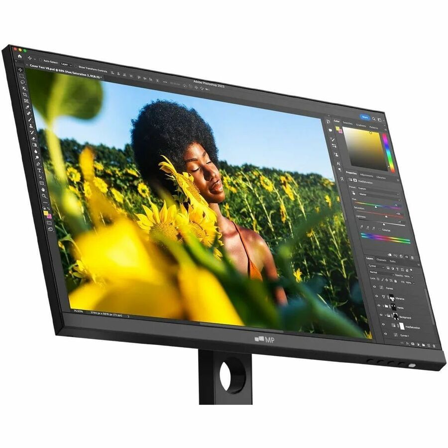Alternate-Image9 Image for Mobile Pixels 116-1003P01 24" Class Full HD LCD Monitor - Black