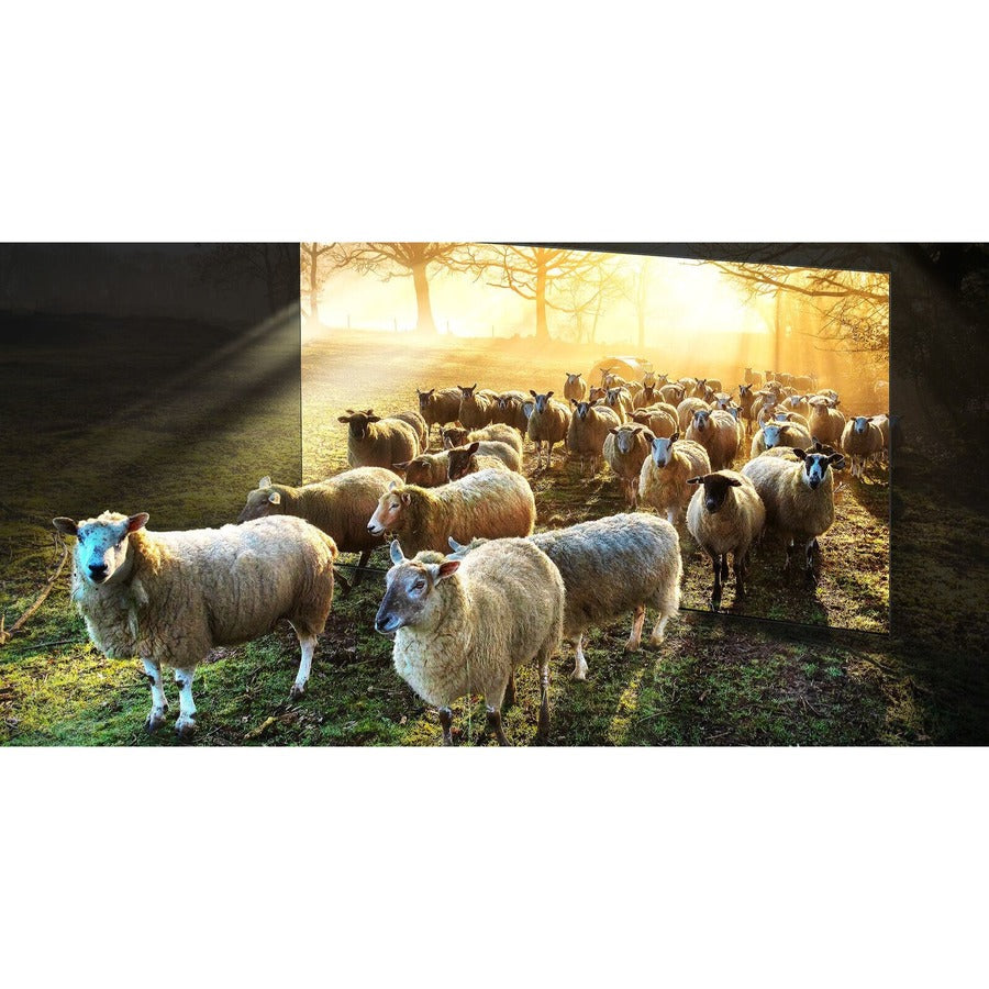 Alternate-Image3 Image for Samsung QN800C QN75QN800CF 74.5" Smart LED-LCD TV 2023 - 8K UHD - Titan Black