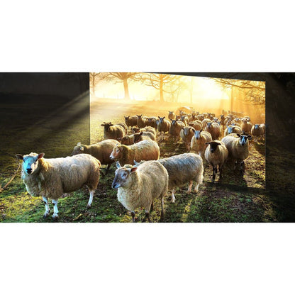 Alternate-Image3 Image for Samsung QN800C QN75QN800CF 74.5" Smart LED-LCD TV 2023 - 8K UHD - Titan Black