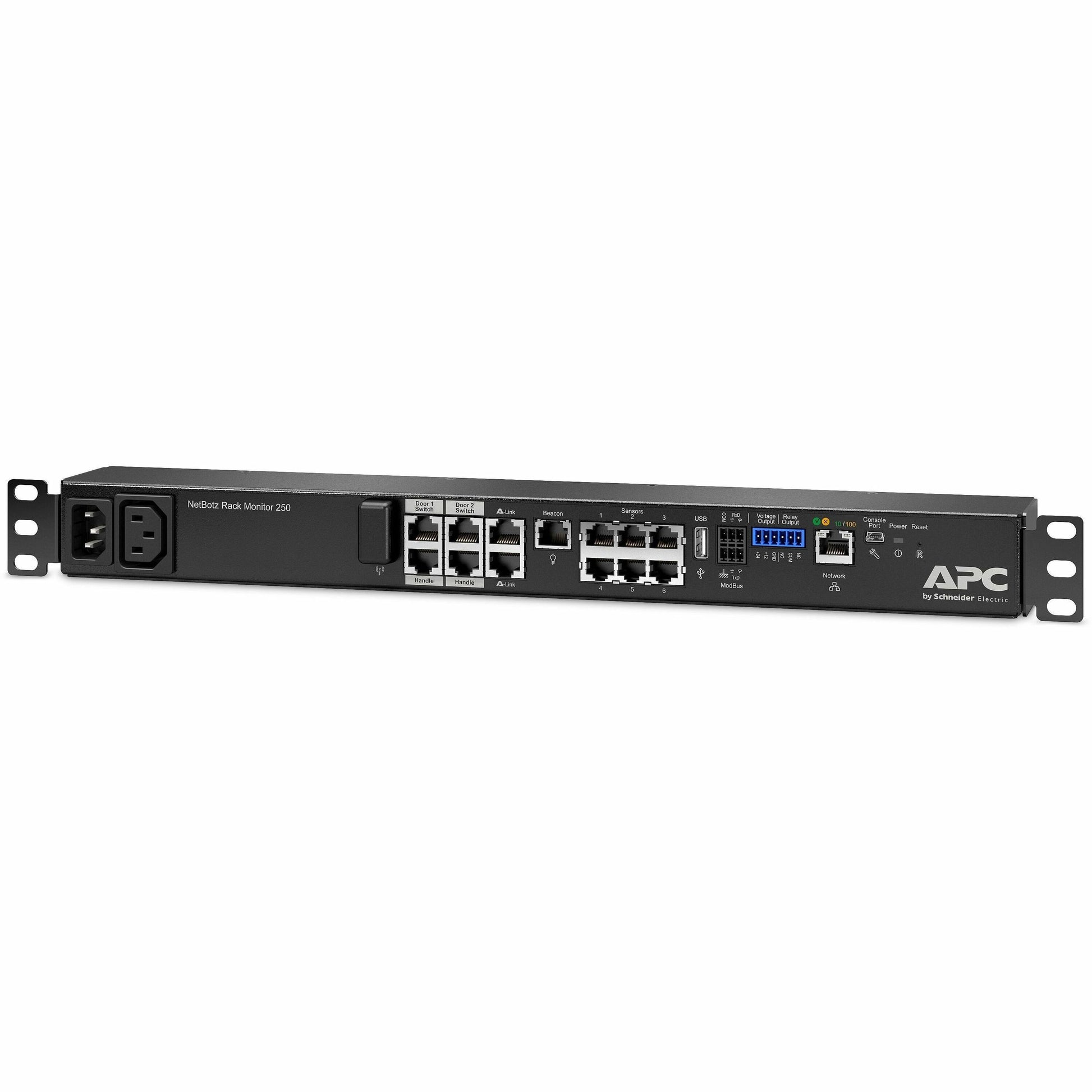 Main Image for Rack Mount, Security and Environmental Appliance, NetBotz, 250A
