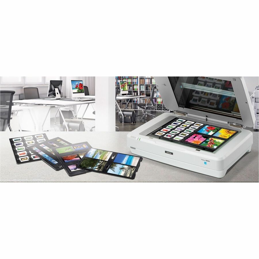 Life-Style Image for Epson Expression 13000XL Large Format Flatbed/Film Scanner - 2400 dpi Optical